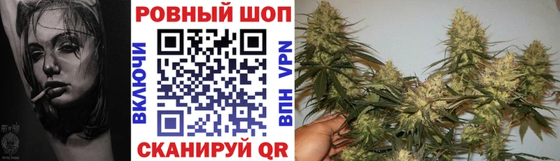  COCAIN Лодейное Поле
