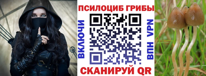 KRAKEN ССЫЛКА  Лодейное Поле  Галлюциногенные грибы MAGIC MUSHROOMS 